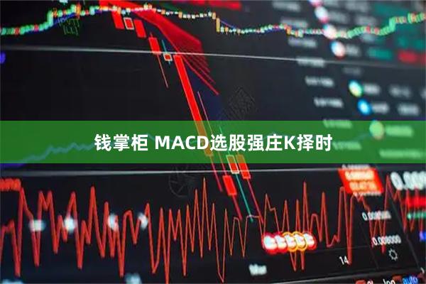 钱掌柜 MACD选股强庄K择时