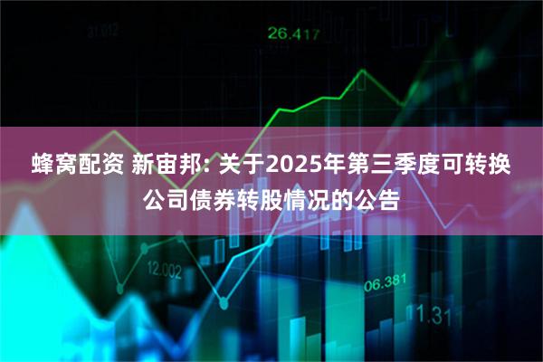 蜂窝配资 新宙邦: 关于2025年第三季度可转换公司债券转股情况的公告