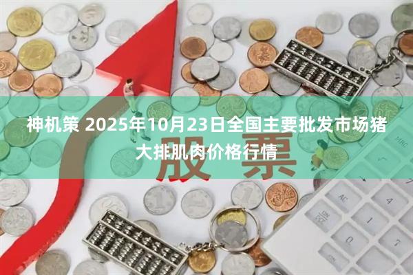 神机策 2025年10月23日全国主要批发市场猪大排肌肉价格行情