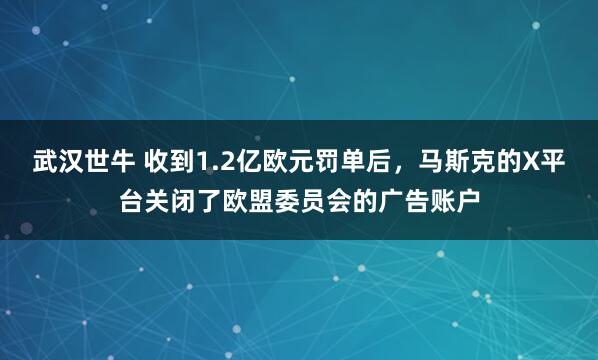 武汉世牛 收到1.2亿欧元罚单后，马斯克的X平台关闭了欧盟委员会的广告账户