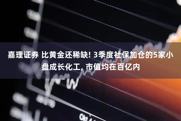 嘉理证券 比黄金还稀缺! 3季度社保加仓的5家小盘成长化工, 市值均在百亿内