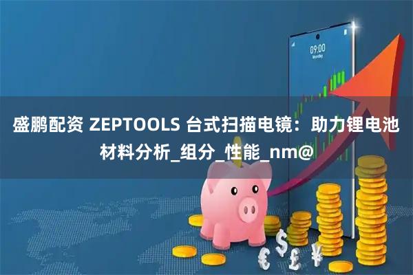 盛鹏配资 ZEPTOOLS 台式扫描电镜：助力锂电池材料分析_组分_性能_nm@